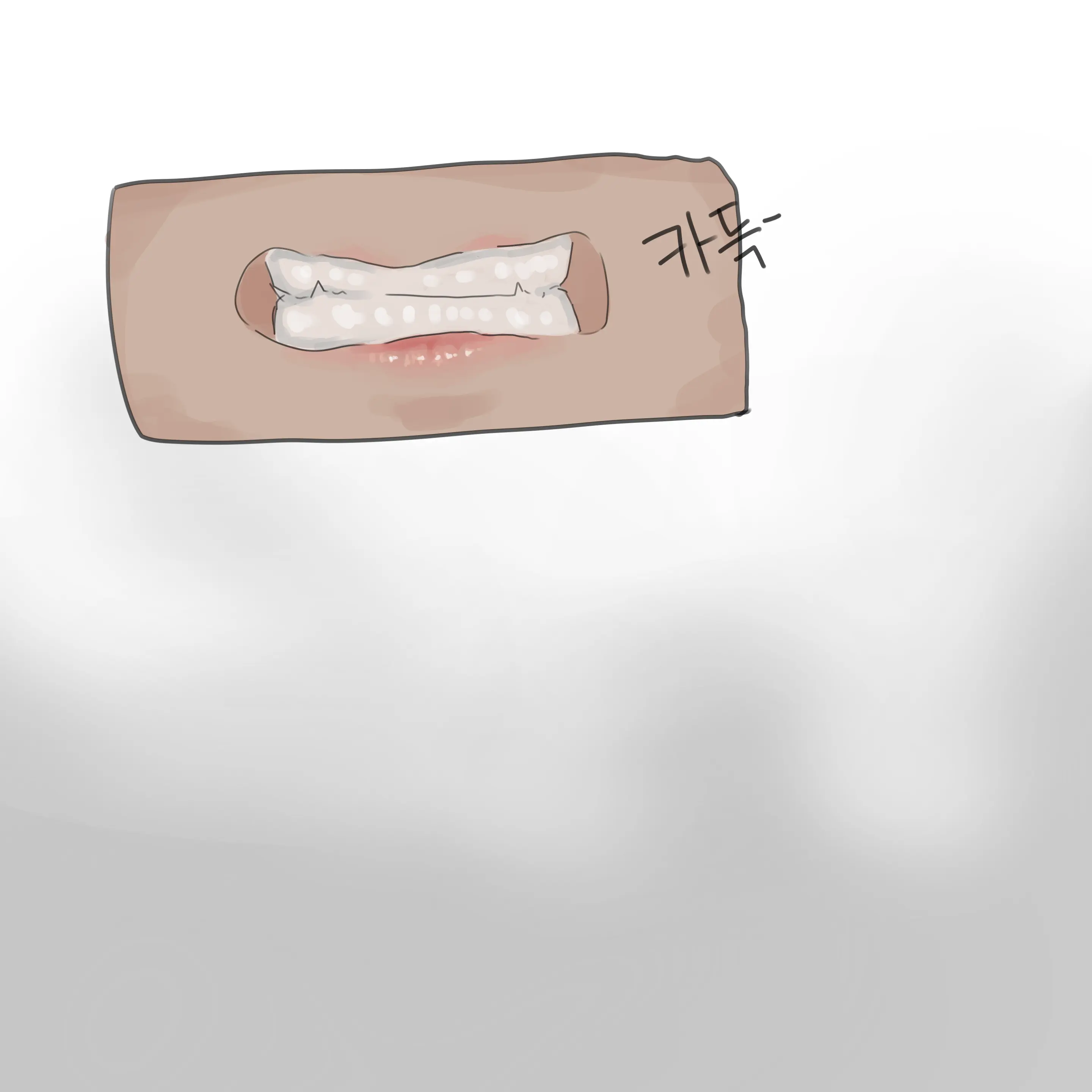 카이사 따먹는 법 .Manhwa